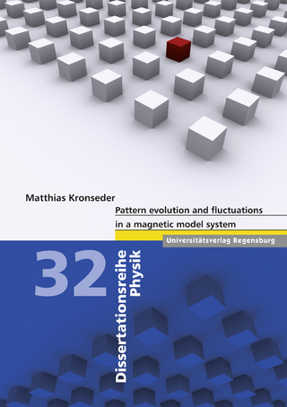 Pattern evolution and fluctuations in a magnetic model system