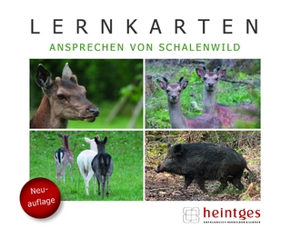 Lernkarten Ansprechen von Schalenwild