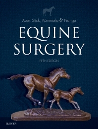 Equine Surgery - Jorg A. Auer, John A. Stick