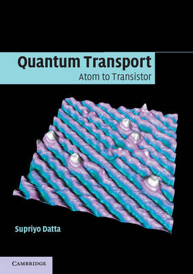 Quantum Transport