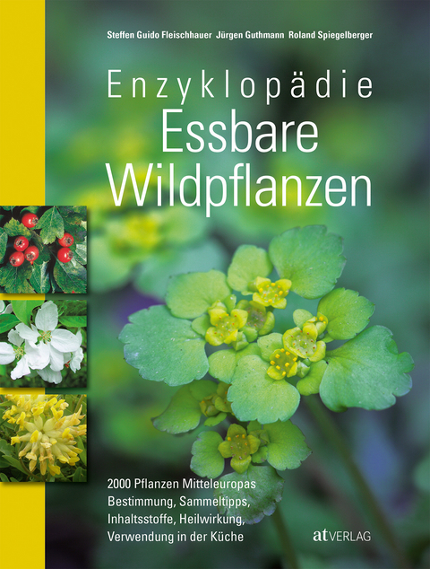 Enzyklop&auml;die Essbare Wildpflanzen - Steffen Guido Fleischhauer, Roland Spiegelberger, J&uuml;rgen Guthmann