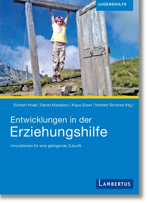 Entwicklungen in der Erziehungshilfe - Eckhart Knab, Daniel Mastalerz, Klaus Esser, Norbert Scheiwe