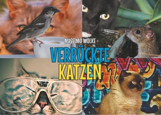 Verrückte Katzen