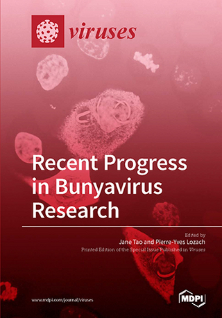 Viral Interactions with Host RNA Decay Pathways