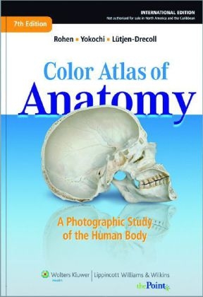 Color Atlas of Anatomy - international edition - Johannes W. Rohen, Chihiro Yokochi, Elke L&uuml;tjen-Drecoll