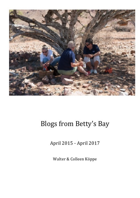 Blogs from Betty's Bay - Walter K&ouml;ppe