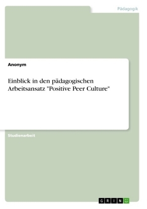 Einblick in den p&Atilde;&curren;dagogischen Arbeitsansatz "Positive Peer Culture"