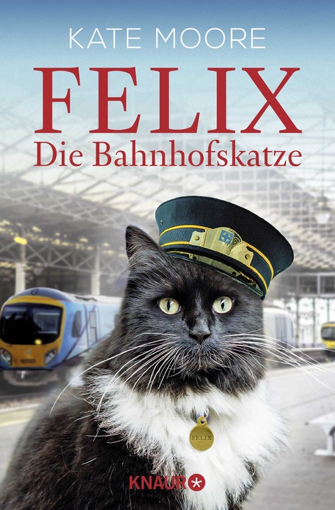 Felix - Die Bahnhofskatze - Kate Moore
