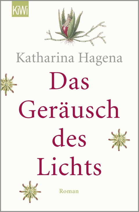 Das Ger&auml;usch des Lichts - Katharina Hagena