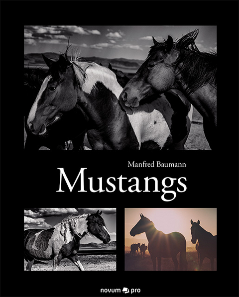 Mustangs - Manfred Baumann