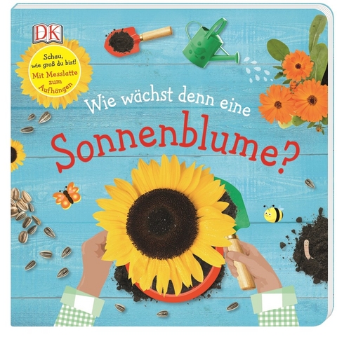 Wie w&auml;chst denn eine Sonnenblume?