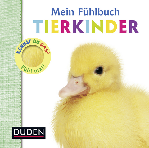 Kennst du das? Mein F&uuml;hlbuch Tierkinder - Ellie Boultwood, Hannah Cockayne, Amy Oliver