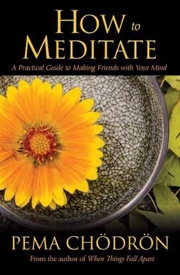 How to Meditate - Pema Ch&ouml;dr&ouml;n