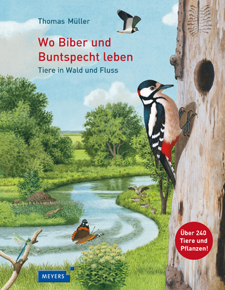 Wo Biber und Buntspecht leben