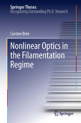 Nonlinear Optics in the Filamentation Regime - Carsten Br&eacute;e
