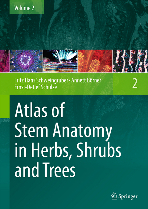 Atlas of Stem Anatomy in Herbs, Shrubs and Trees - Fritz Hans Schweingruber, Annett B&ouml;rner, Ernst-Detlef Schulze