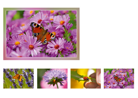 Gru&szlig;kartenk. Marienk&auml;fer + Schmetterlinge