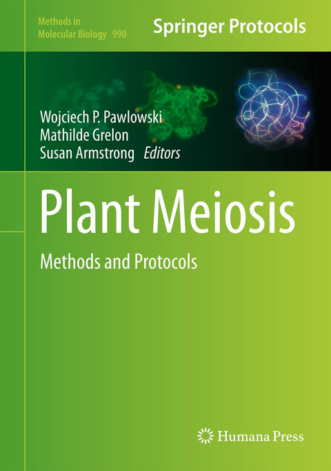 Plant Meiosis - 