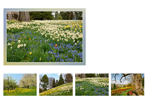 Gru&szlig;kartenk. Wiesenlandschaften