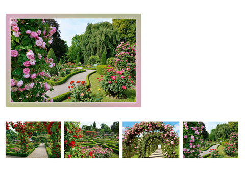 Gru&szlig;kartenk. Roseng&auml;rten