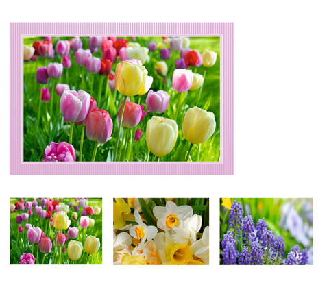 Gru&szlig;kartenet. Fr&uuml;hlingsblumen