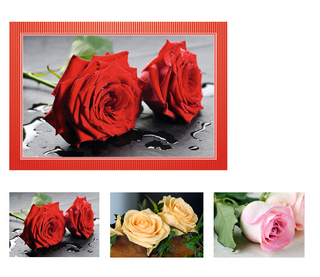 Grußkartenet. Rosen