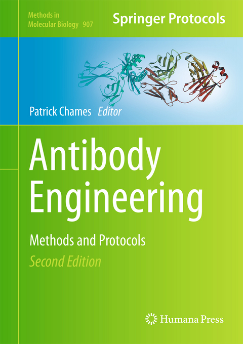 Antibody Engineering - 