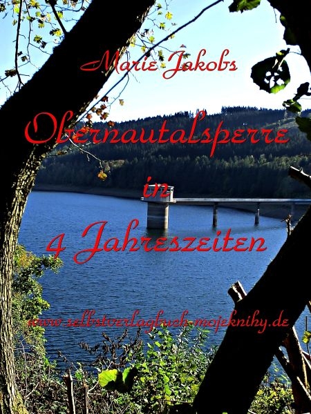 Obernautalsperre in 4 Jahreszeiten - Marie Jakobs