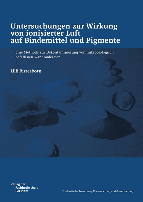 Untersuchungen zur Wirkung von ionisierter Luft auf Bindemittel und Pigmente - Lilli Birresborn