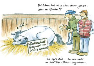 Geschichten vom Pferd