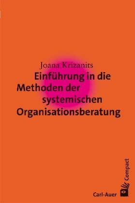 Einf&uuml;hrung in die Methoden der systemischen Organisationsberatung - Joana Krizanits