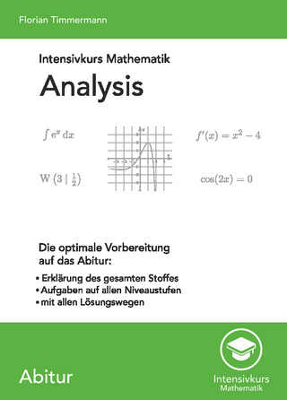 Intensivkurs Mathematik - Analysis
