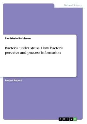 Bacteria under stress. How bacteria perceive and process information