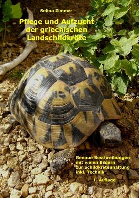 Pflege Und Aufzucht Der Griechischen Landschildkrote Testudo Hermanni Boettgeri in Menschlicher Obhut
