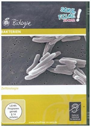 Bakterien