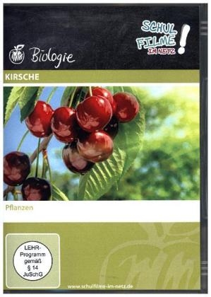 Kirsche, 1 DVD