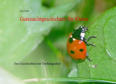 Gutenachtgeschichten f&uuml;r Kleine - Heike Richter