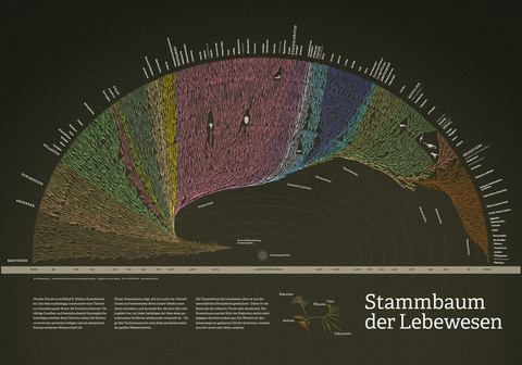 Stammbaum der Lebewesen (Poster) - Christian B&uuml;ning