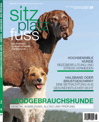 SitzPlatzFuss, Ausgabe 29