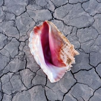 Wonderful Wonderful, 1 Audio-CD (Deluxe Edition) -  The Killers