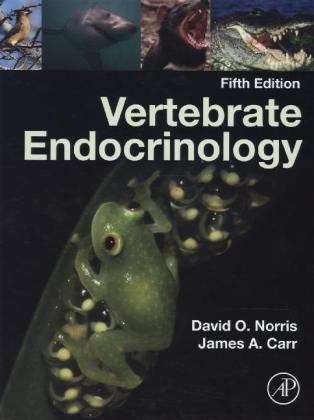 Vertebrate Endocrinology - David O. Norris, James A. Carr