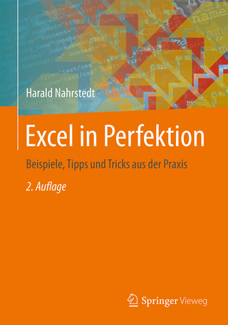 Excel in Perfektion