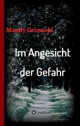 Im Angesicht der Gefahr - Mandy Grimsehl