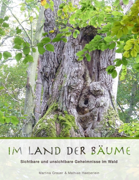 Im Land der B&auml;ume - Martina Grauer, Mathias Haeberlein