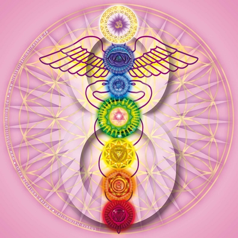 Chakra-Harmonizer - Andrea Kraus  Constanze