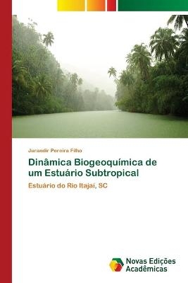 Dinâmica Biogeoquímica de um Estuário Subtropical
