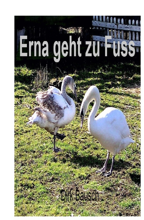 Erna geht zu Fuss - Dirk Bausch