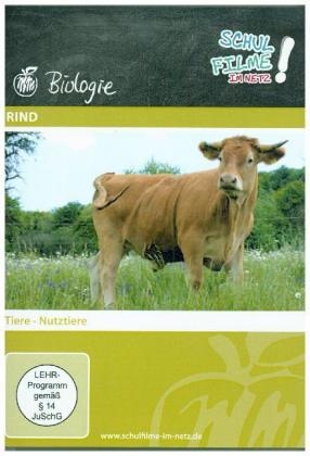 Rind, 1 DVD