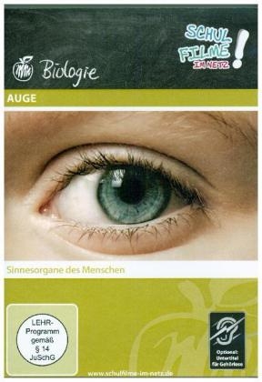 Auge, 1 DVD