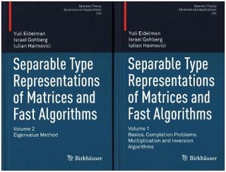 Separable Type Representations of Matrices and Fast Algorithms